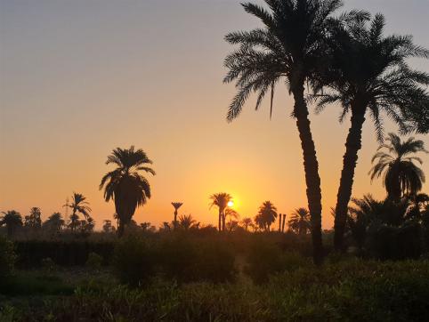 Emperor Desert Safaris Hurghada