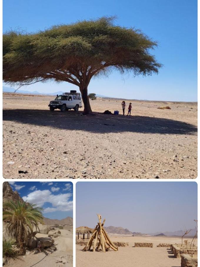 Jeep Safari